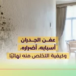 عفن الجدران أسبابه، أضراره، وكيفية التخلص منه نهائيًا