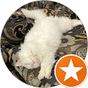 Ahmed Alghamdi profile picture